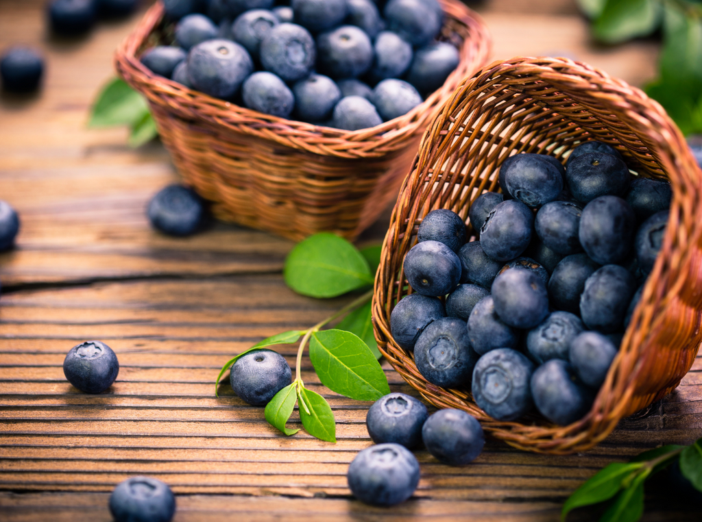 The Power of Blueberries and Rhubarb in Skincare